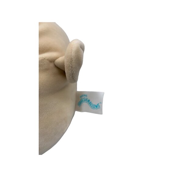 Boyer the Shetland Sheep Blue Eyes Mystery 7" Squishmallow Plush Stuffed Animal - Picture 4 of 5